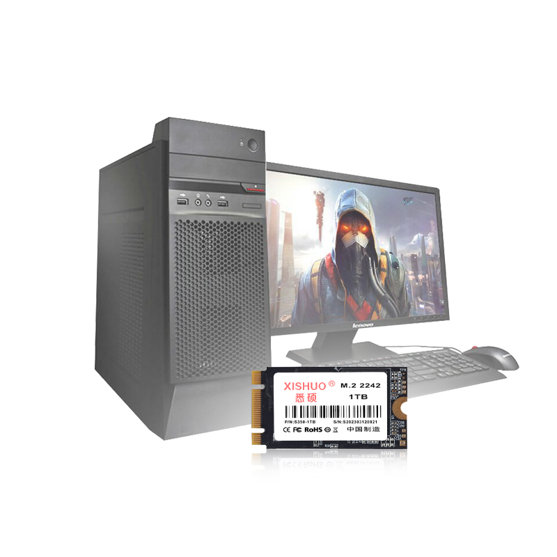2242 M2 SATA3 SSD