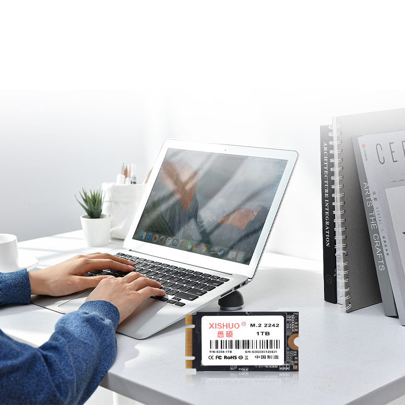 2242 M2 SATA3 SSD